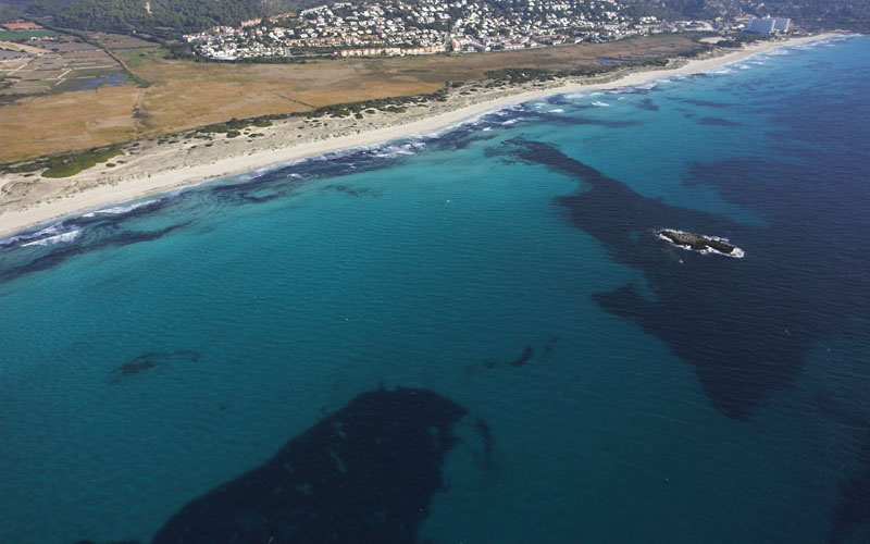Spiaggia di Son Bou Minorca