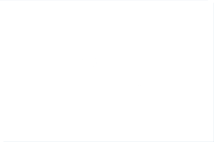 Bonnin Sanso