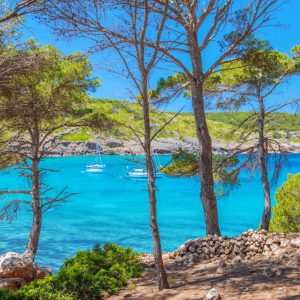 playa de algaiarens