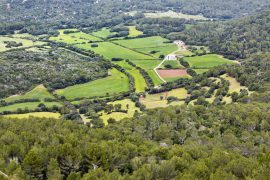 andare a lavorare a minorca