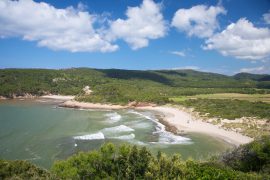 spiaggia di algaiarens