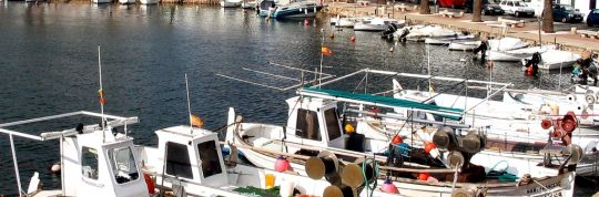 Cosa vedere e cosa fare a Fornells