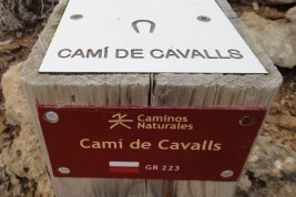 Camì de Cavalls