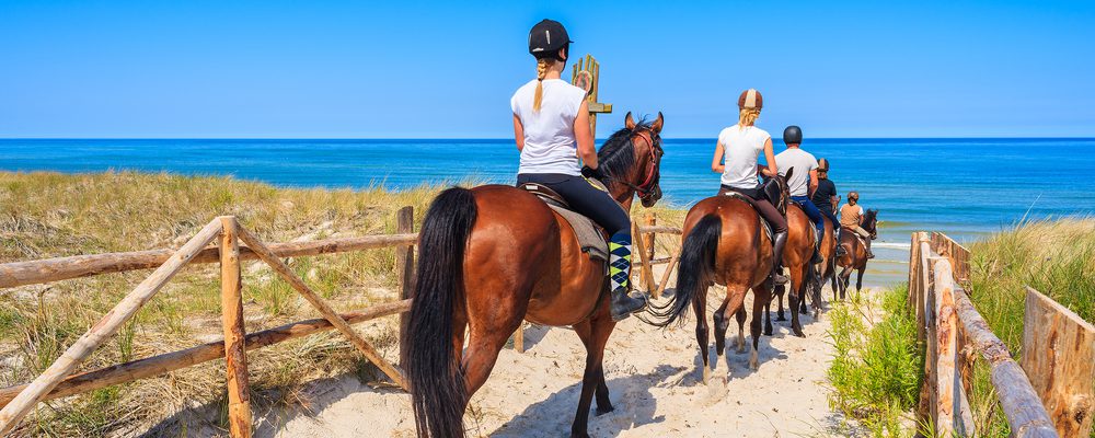 Montar a caballo en menorca: itinerarios, hípicas y algún consejo