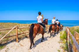 Montar a caballo en menorca: itinerarios, hípicas y algún consejo