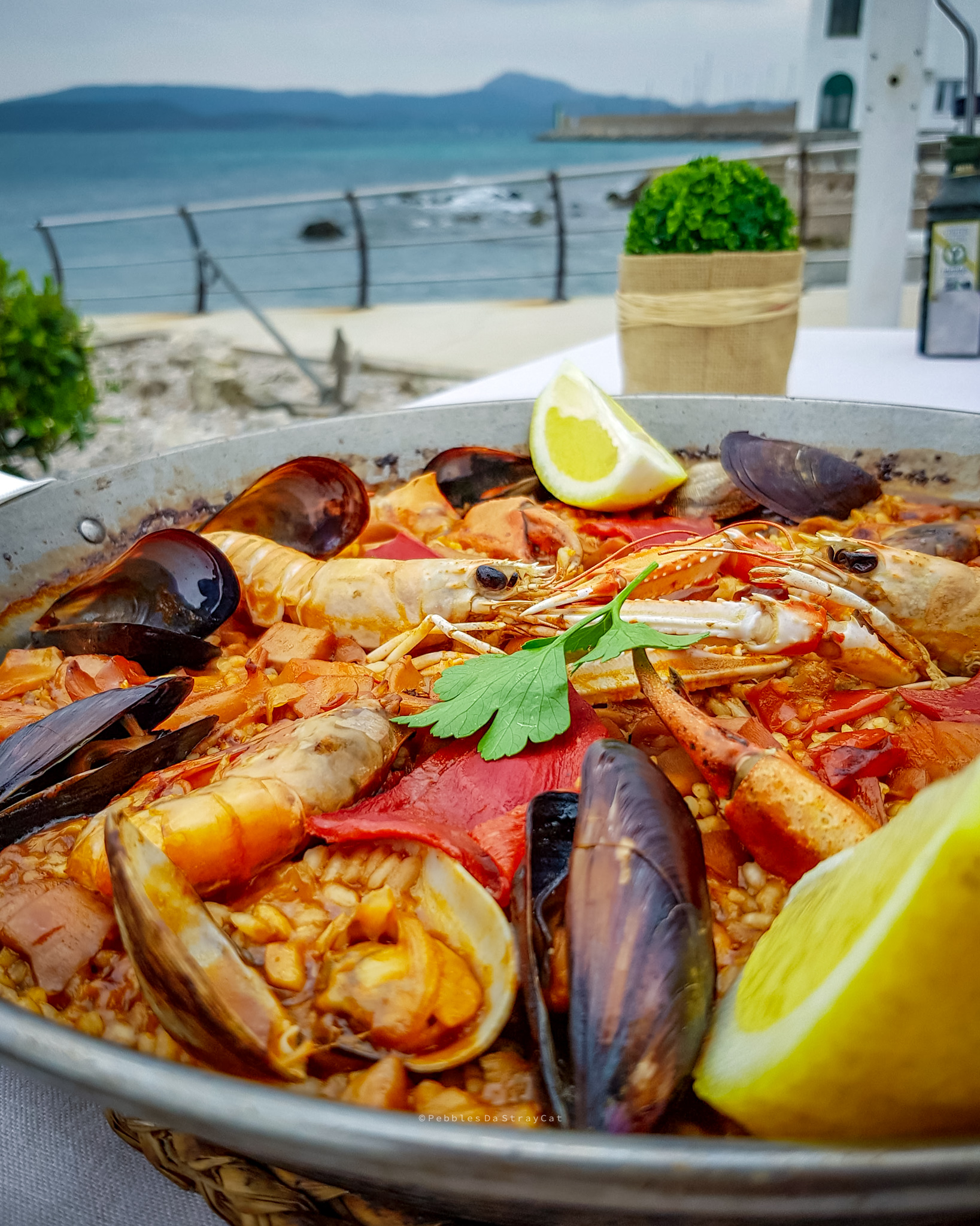 paella sa nansa minorca