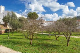 COSA VEDERE A ES MERCADAL