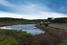 BIODIVERSITA MINORCA