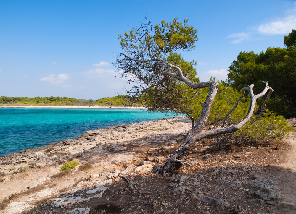 SON SAURA SUR MENORCA