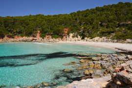 MENORCA TOP 20