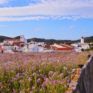MERCADAL