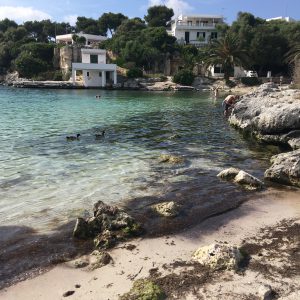 playa de cala'n blanes