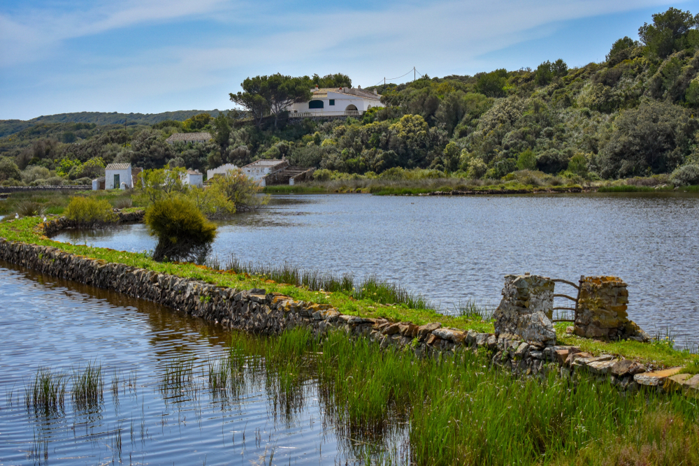 albufera d'es grau riserva biosfera minorca