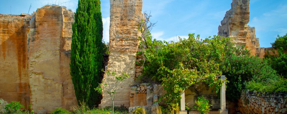 Mercato di piante officinali e aromatiche da Lithica