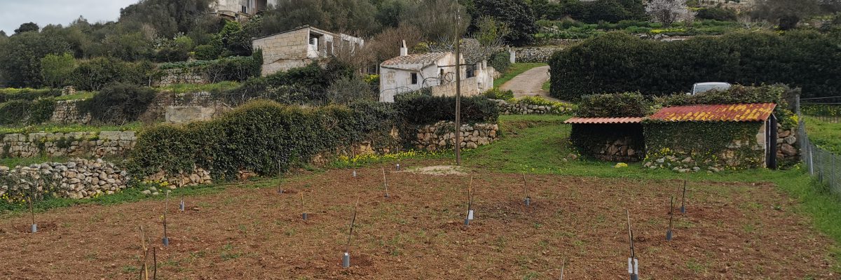 Se vende huerta en Es Migjorn Gran