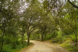 Rivendicano in tribunale la proprietà pubblica del tratto di Binimoti nel Camí d’en Kane