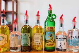 negozio online delle Distillerie Xoriguer