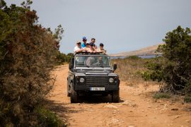 jeep safari