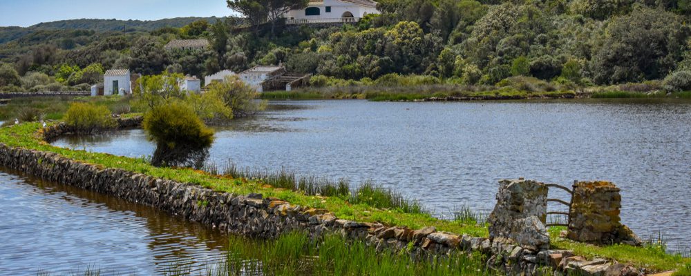 minorca destino ornitologico