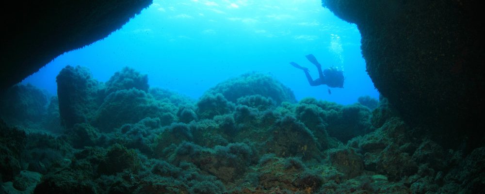 bautismo de buceo en menorca