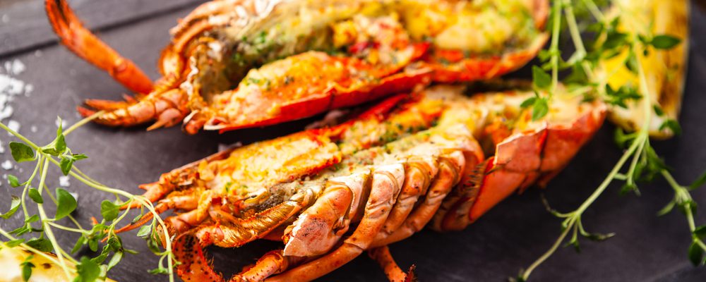 azareto Music & Gastro Festival menorca minorca