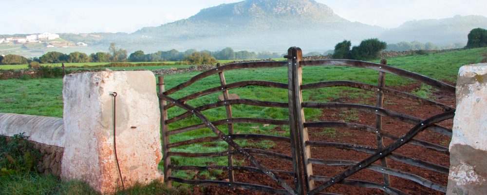 agricoltura bio menorca
