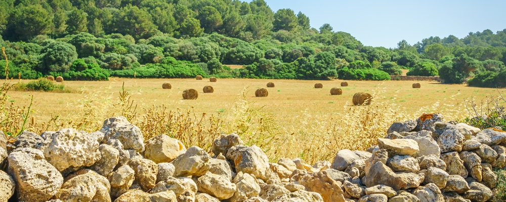 Al via a un modello più sostenibile per Minorca