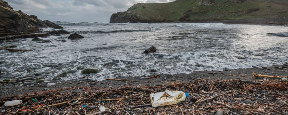 ecologismo en menorca