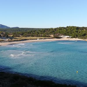 Playa de Son Saura del norte2