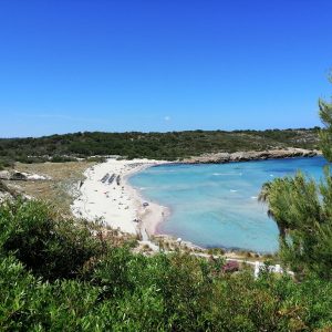 Playa de Son Saura del norte3