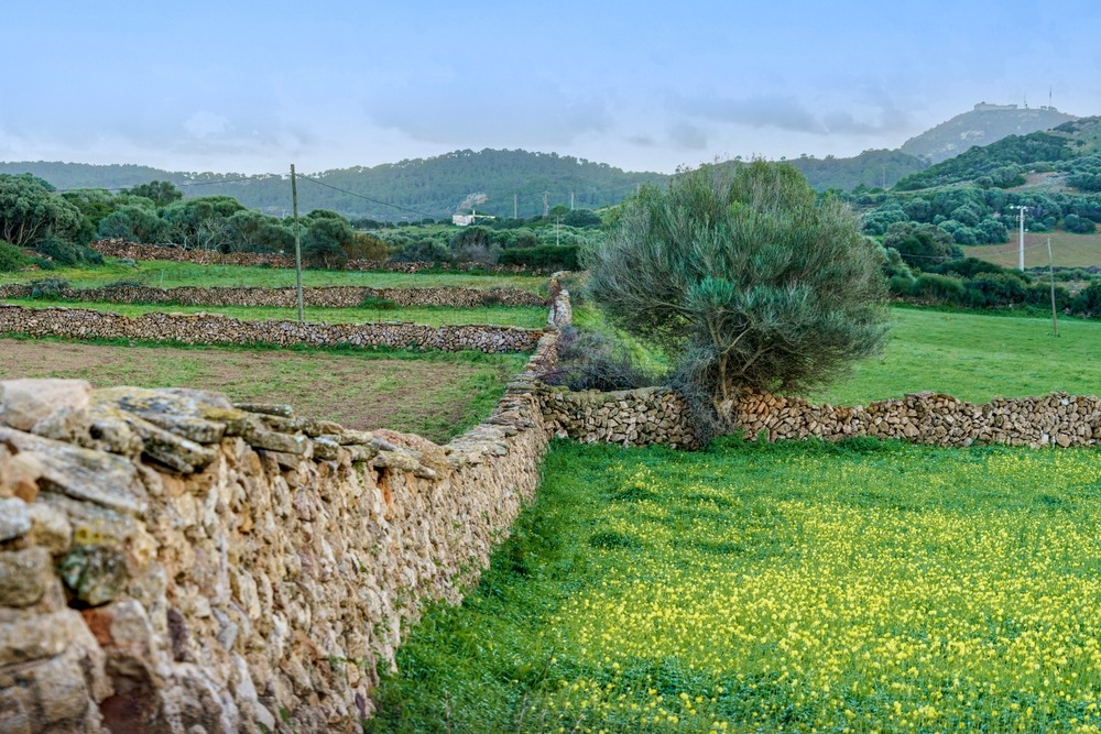 pareti secche minorchine