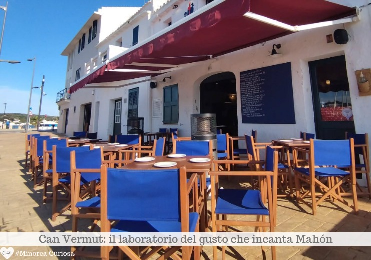 La terra del Can Vermut