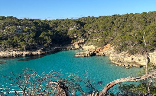 Un vistazo a Menorca y su extraordinaria naturaleza para descubrir con Trails of Menorca.