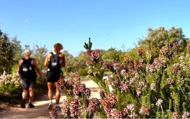 Trails of Menorca organiza excursiones privadas y en grupo por Menorca.