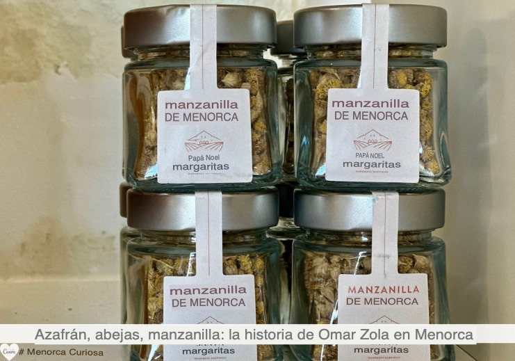 La manzanilla endémica de Menorca, sin pétalos blancos, es diferente de cualquier otra variedad.