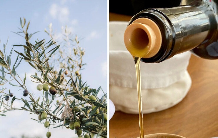 Le prime notizie sulla produzione dell'olio risalgono al 4000 a.C. in Armenia, Palestina, India