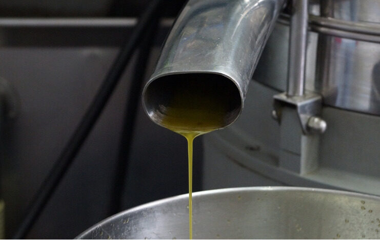 Prensado de aceitunas a baja temperatura