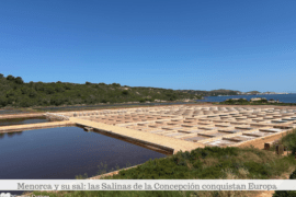 Salinas de la Concepción