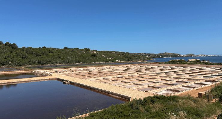 Salinas de la Concepción