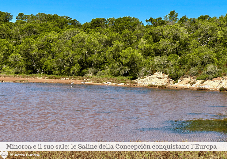 L'ambiente delle saline di Fornells è protetto: infatti, fanno parte di un'area naturale dichiarata Sito di Interesse Comunitario.