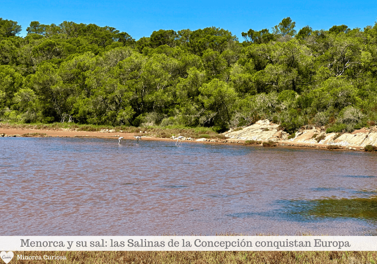 Las salinas son un ecosistema: forman parte de un espacio natural declarado Lugar de Interés Comunitario .