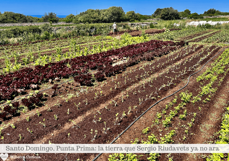 Santo Domingo, agricultura regenerativa: acaba de entrar en la lista de las 50 mejores fincas agrícolas regenerativas de Europa.