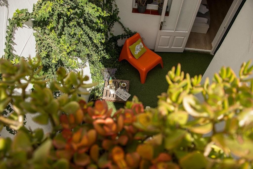 Il patio con il prato e le piante rampicanti del Cheap & Chic Hotel, a Ciutadella