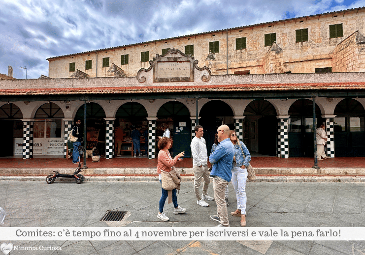 I Comites fanno da ponte tra le comunità e le autorità consolari: : raccolgono problemi, segnalano disservizi, propongono iniziative culturali, sociali e di assistenza.